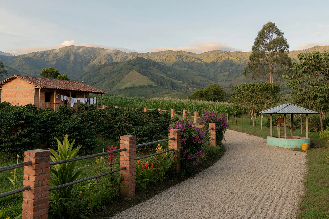 Finca rural colombiana entre montañas con cultivos, camino y estructura de pozo.