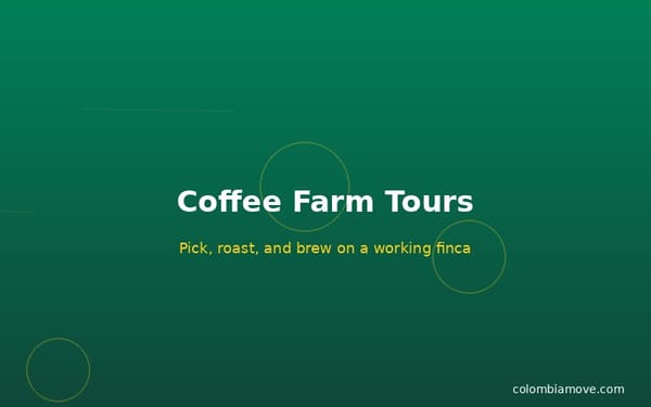 Coffee farm tour on a finca in Colombia's coffee region