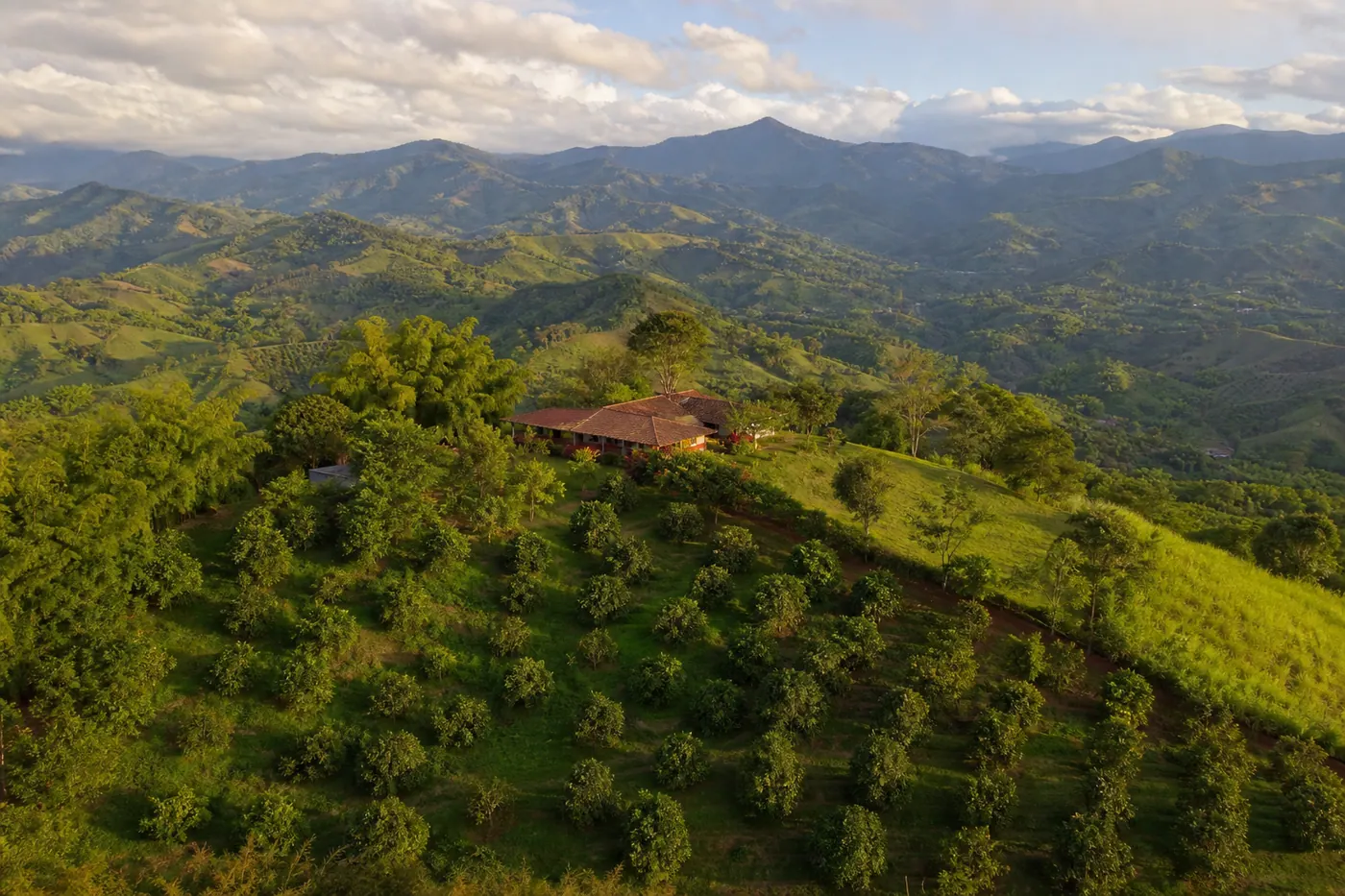 Vista aérea de una finca colombiana — paisaje rural