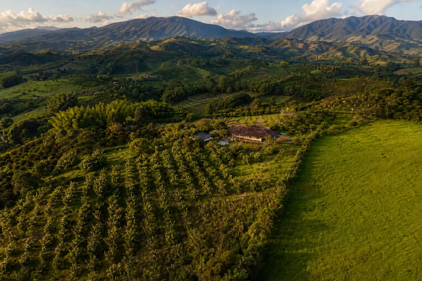 Vista aérea de una finca colombiana — paisaje rural