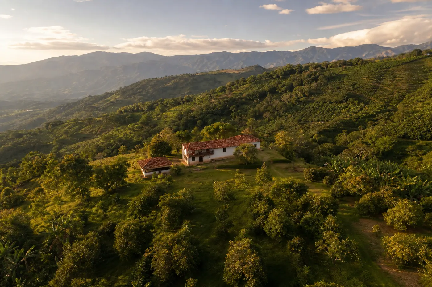 Vista aérea de una finca productiva en el suroeste antioqueño cerca de Santa Bárbara, Antioquia — colinas verdes, frutales y montañas al fondo