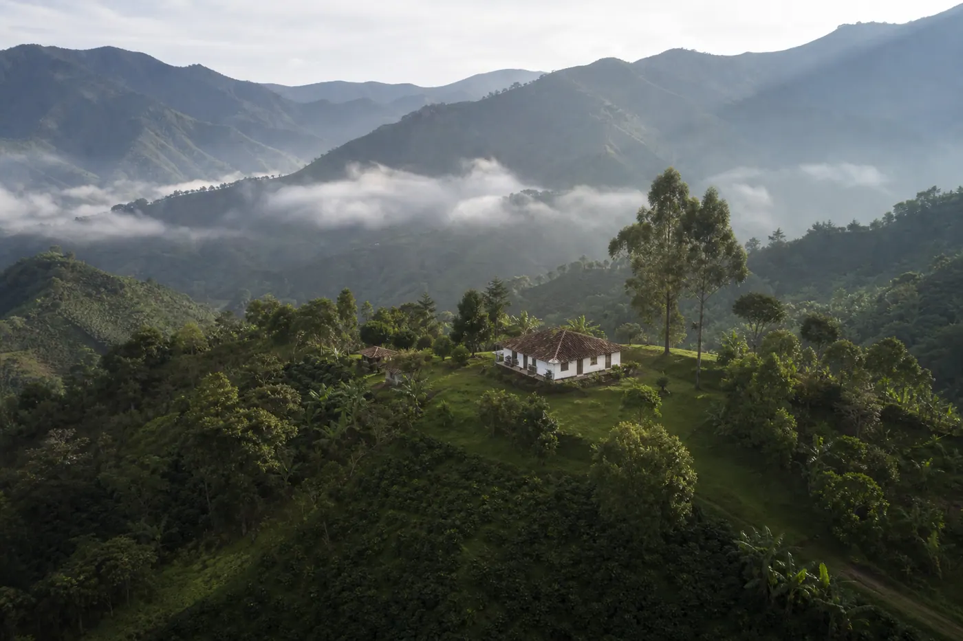 Aerial view of a lush Colombian finca in the Andes mountains at golden hour