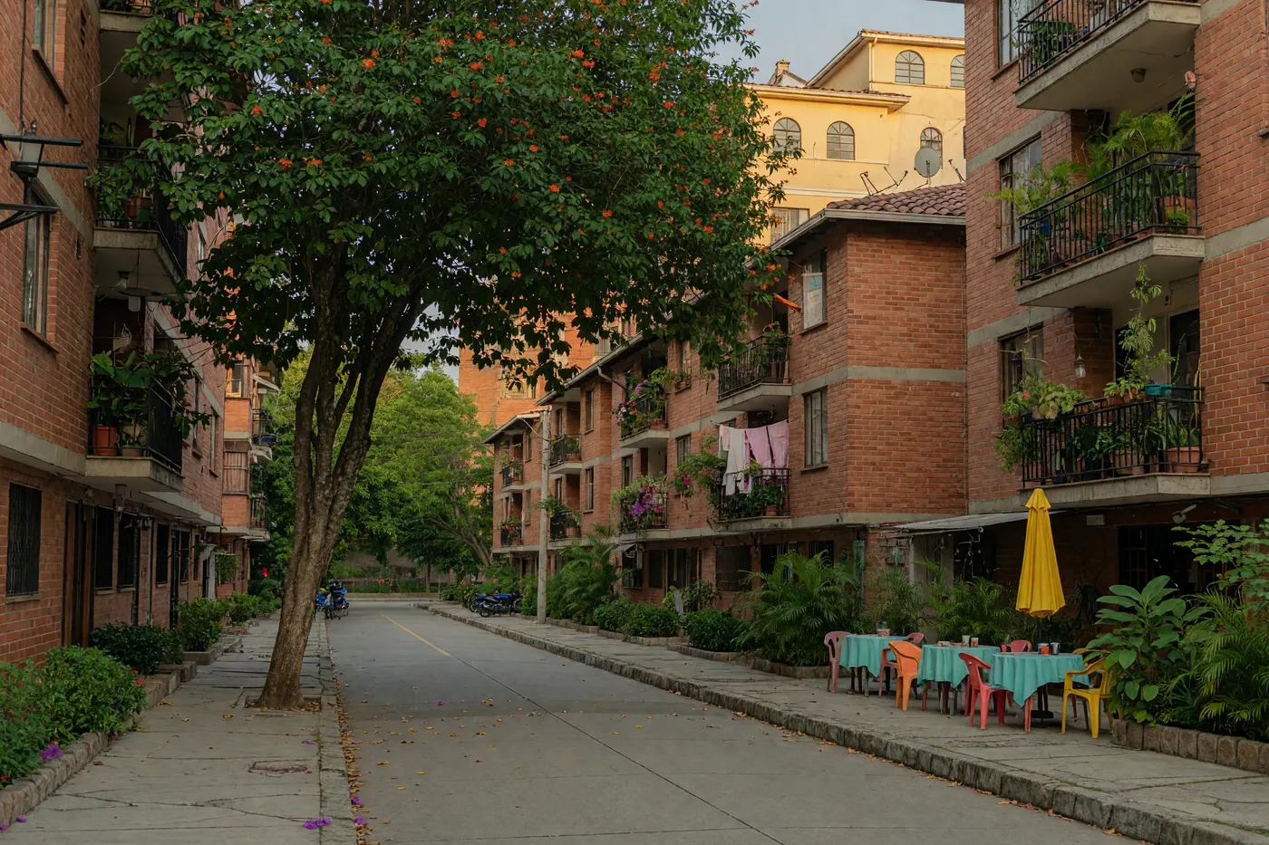 Tree-lined street with brick apartment balconies and an outdoor cafe in Laureles Medellín