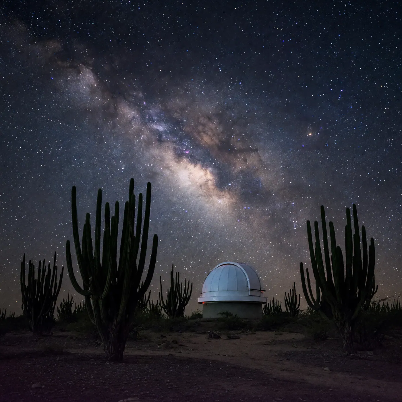 Milky Way over the Tatacoa Desert in Colombia — columnar cacti silhouettes against a star-filled sky