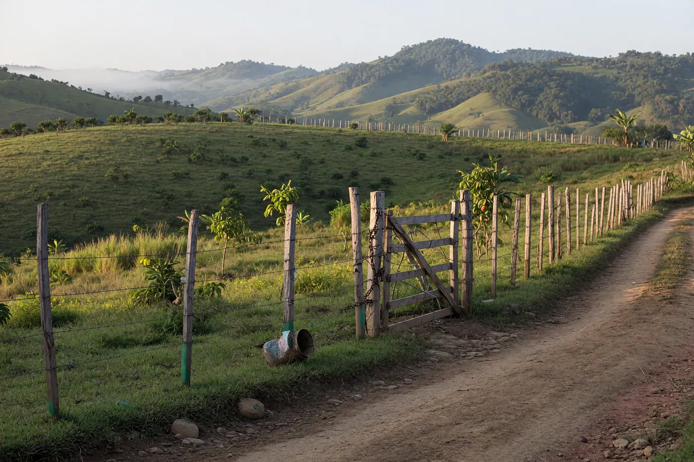 Terreno rural entre colinas verdes con camino destapado, cerca y portón de madera
