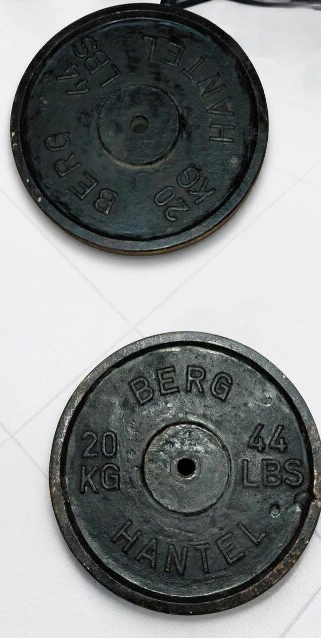 Sports & Fitness for Sale in Bucaramanga: Two Berg Hantel 20 kg weight plates — Colombia Move