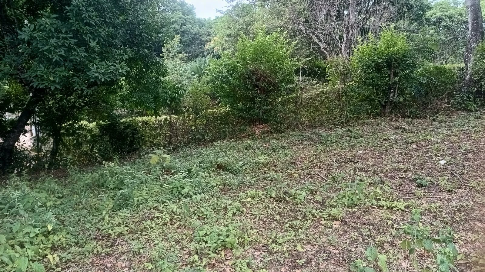 Venta de lote / terreno en Sopetrán, Medellín: Lote independiente en venta en Sopetrán, Antioquia, sector Chagualal/Pangordo — Colombia Move
