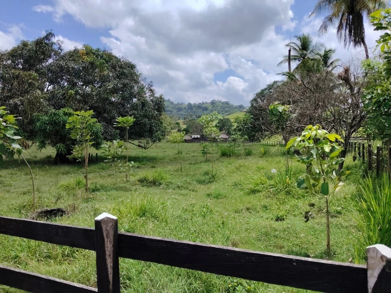 Segunda foto de la finca en Montería
