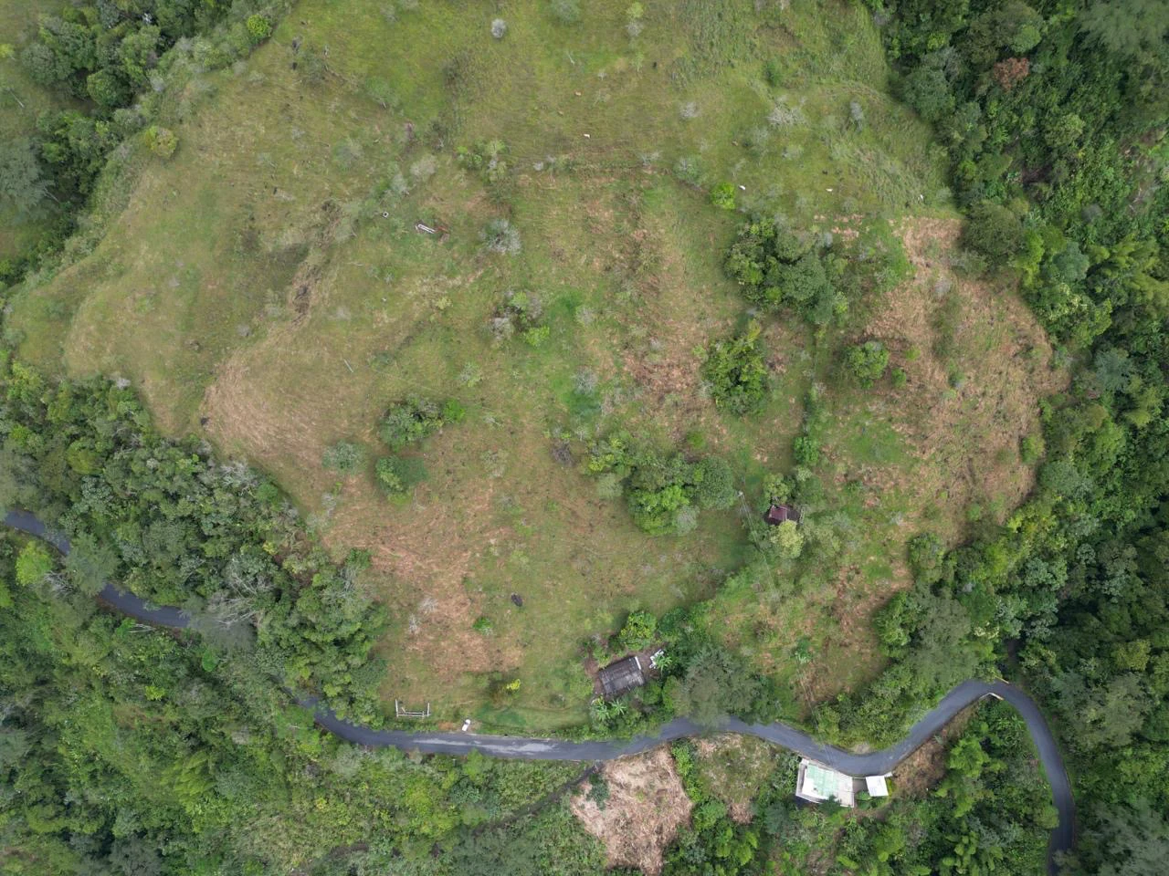 Venta de finca en Cocorná, Medellín: Finca Productiva de 10 Hectáreas en La Piñuela, Antioquia — Colombia Move