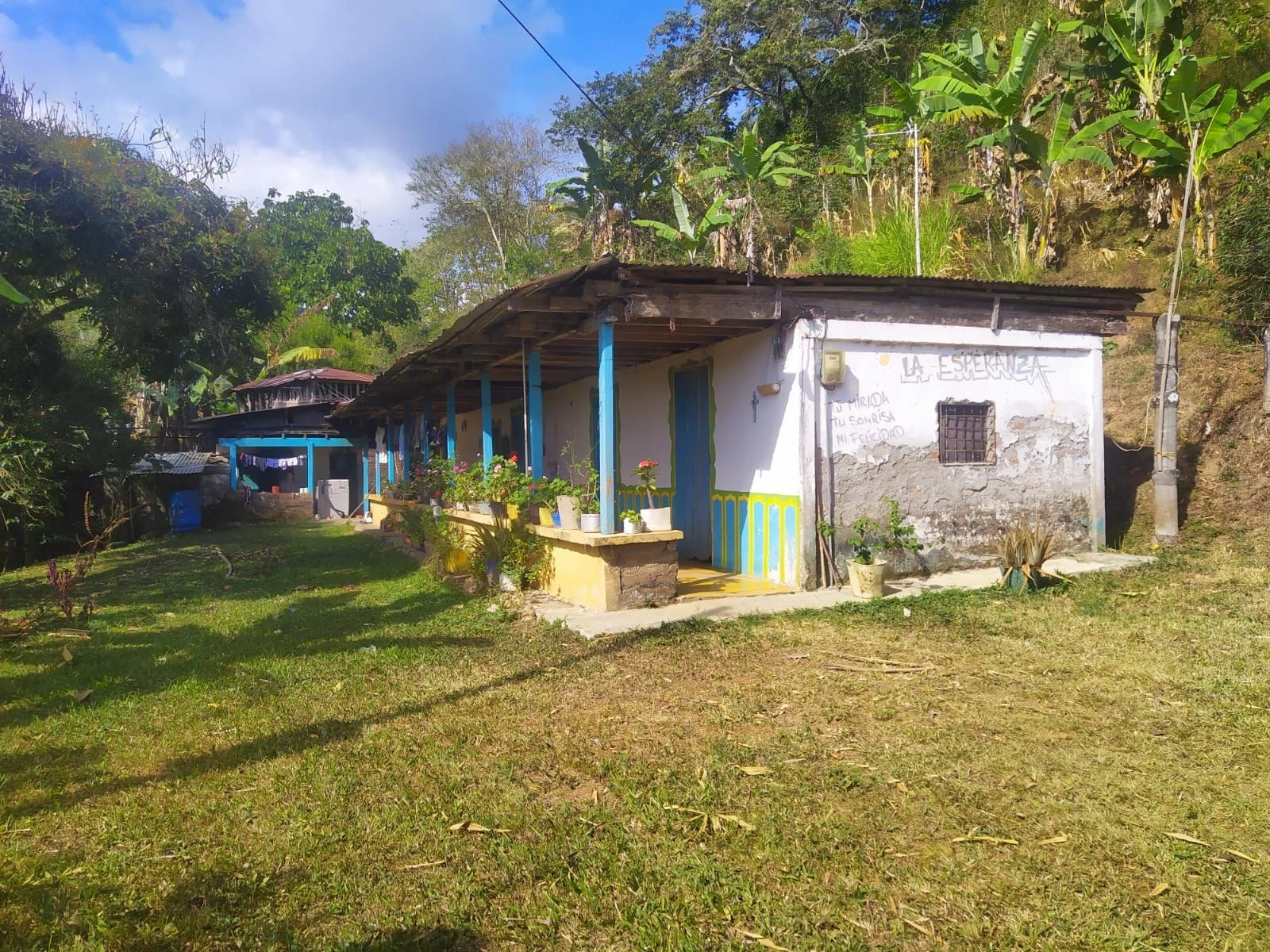 SE VENDE HERMOSA FINCA – 3 HECTÁREAS + 200 M² – CAICEDONIA, VALLE