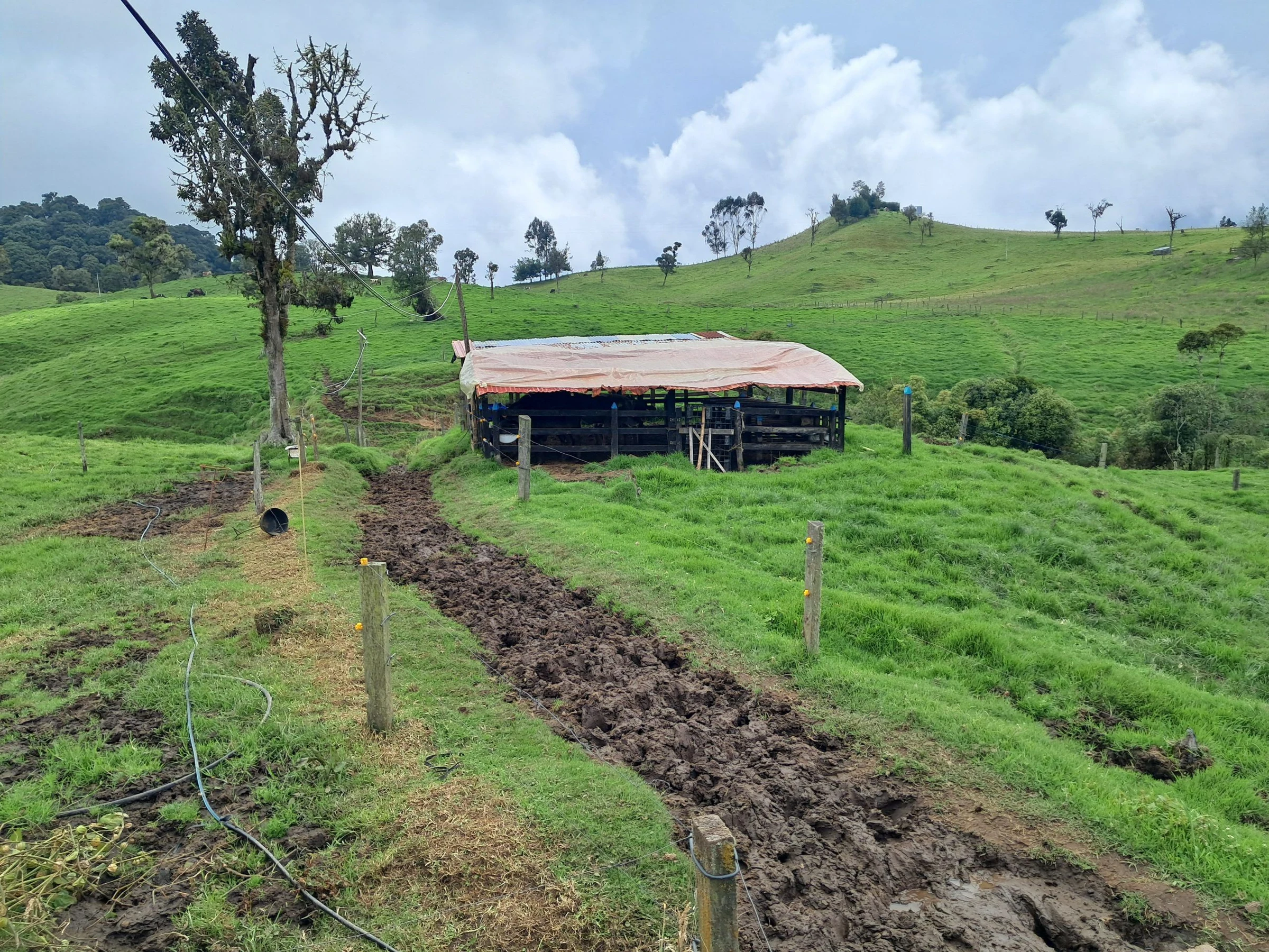 Segunda foto de la finca en Libano