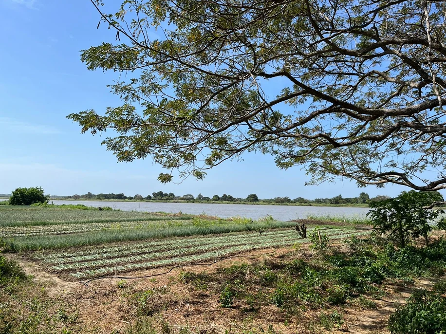 PREDIO RURAL CON POTENCIAL PORTUARIO Y LOGISTICO - A POCOS KMS DE ZONA FRANCA Y PORTUARIA DE PALERMO