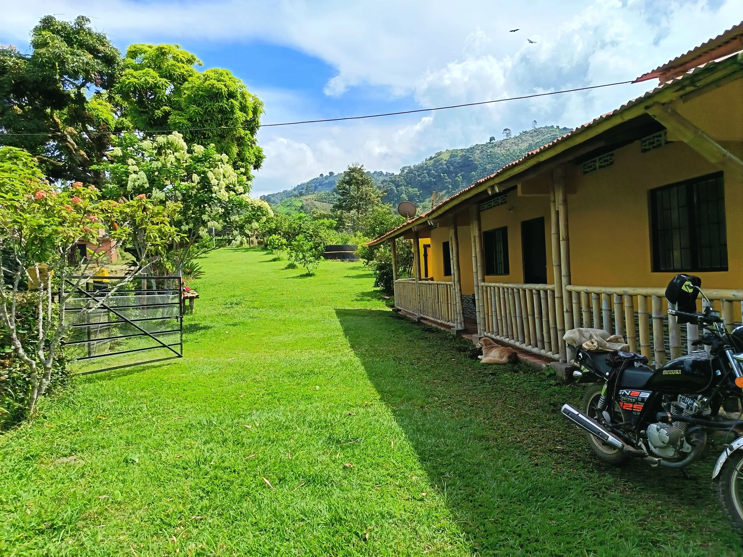 Venta de finca en Libano: Se vende hermosa finca ubicada en el municipio del Líbano Tolima, en la vereda la mirada a 15 minutos de la vi — Colombia Move