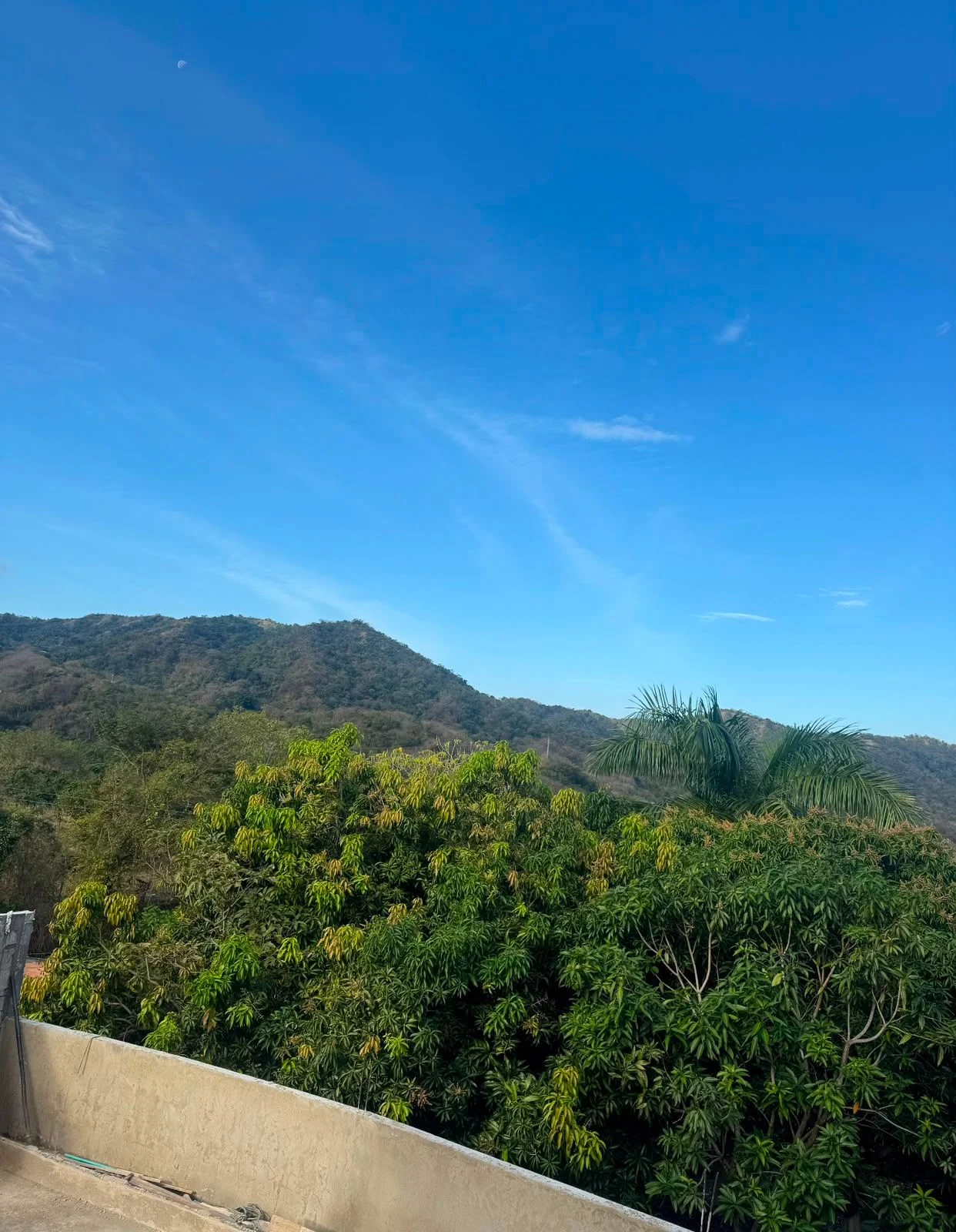 PRIVATE MOUNTAIN PROPERTY FOR SALE NEAR MINCA