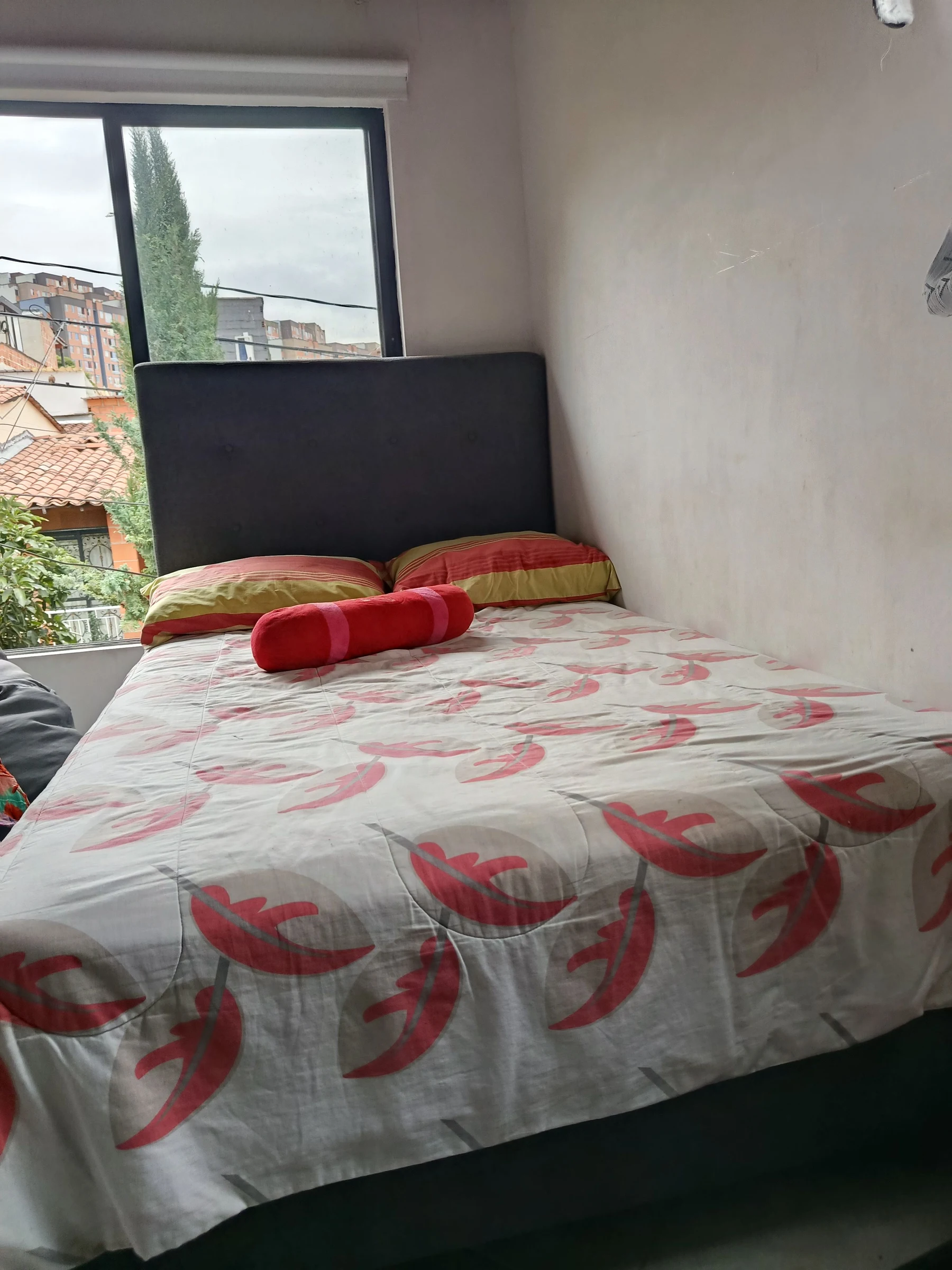 Venta de camas y colchones en Medellín: BaseCama con cabecero tapizado gris y colchón en excelente estado — Colombia Move