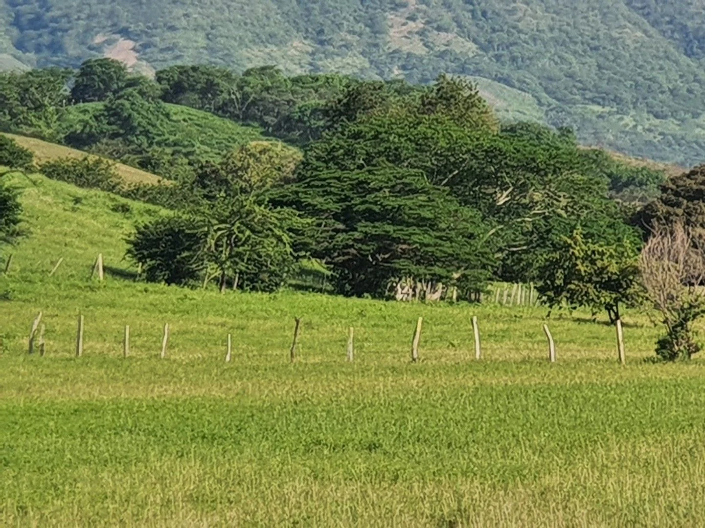 Venta Finca en 38.6 ha · tocaima