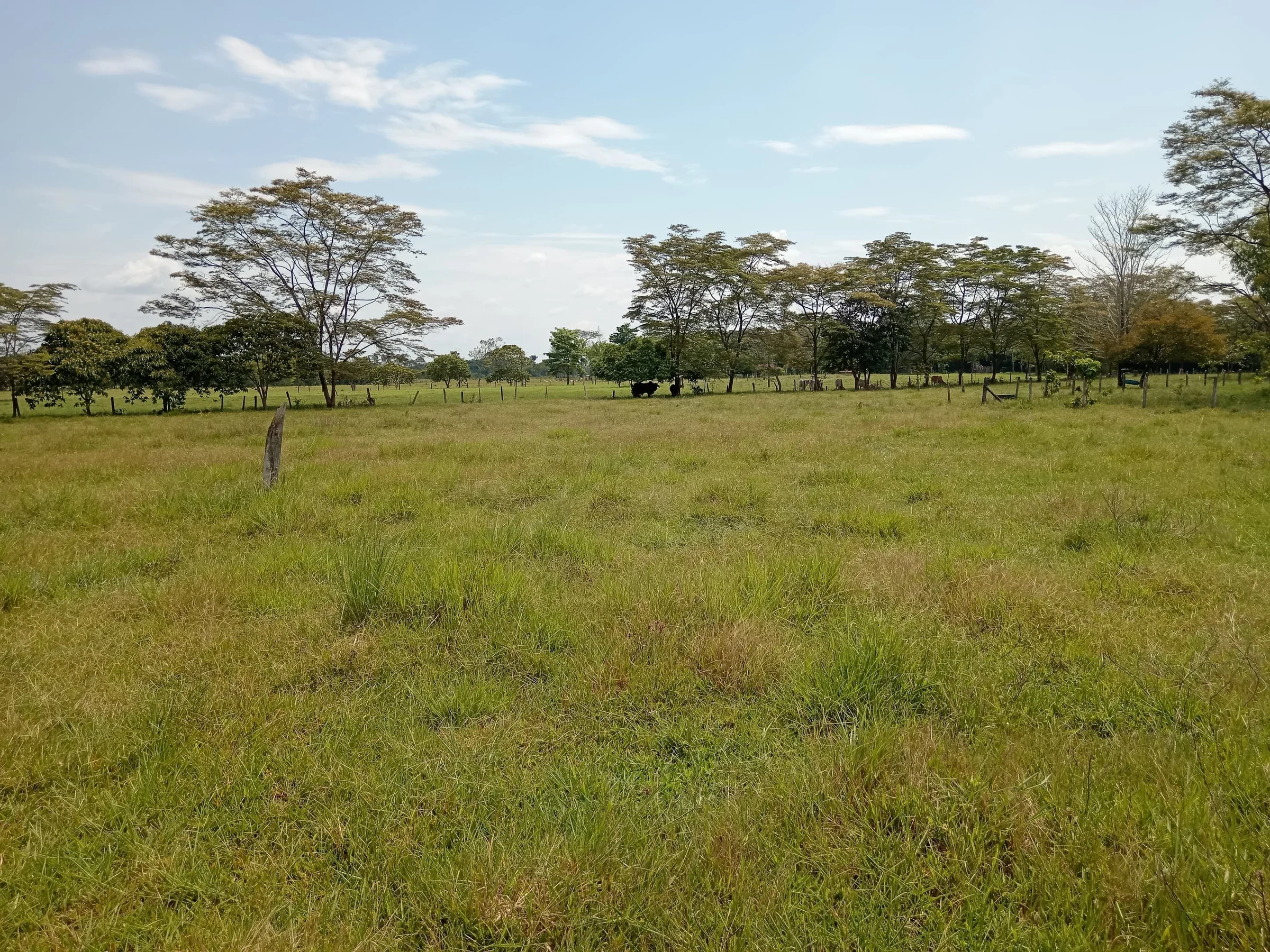 Se vende terreno de 1.84 hectáreas, con escrituras vía a Guamal, Meta en Castilla la Nueva.