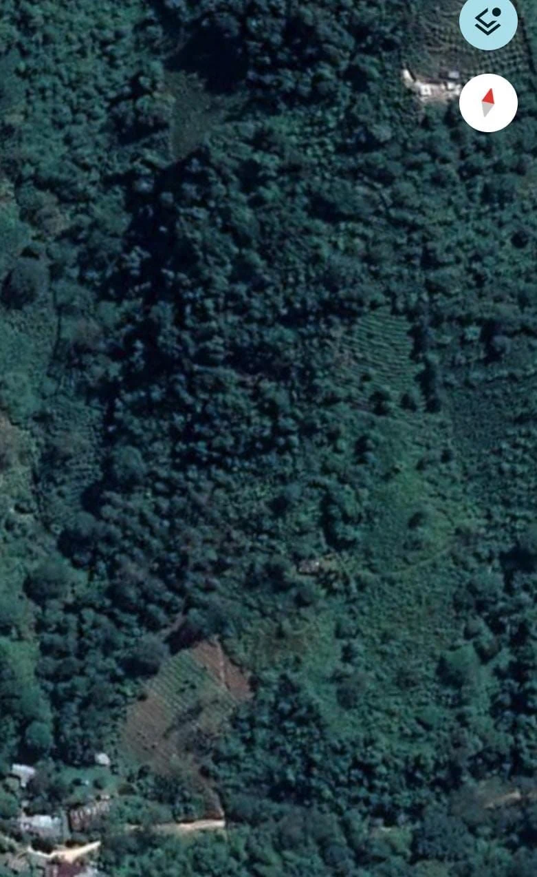 Venta de finca en Garzón: Finca de 6 hectáreas con vivienda, cacao y título de escritura propia — Colombia Move
