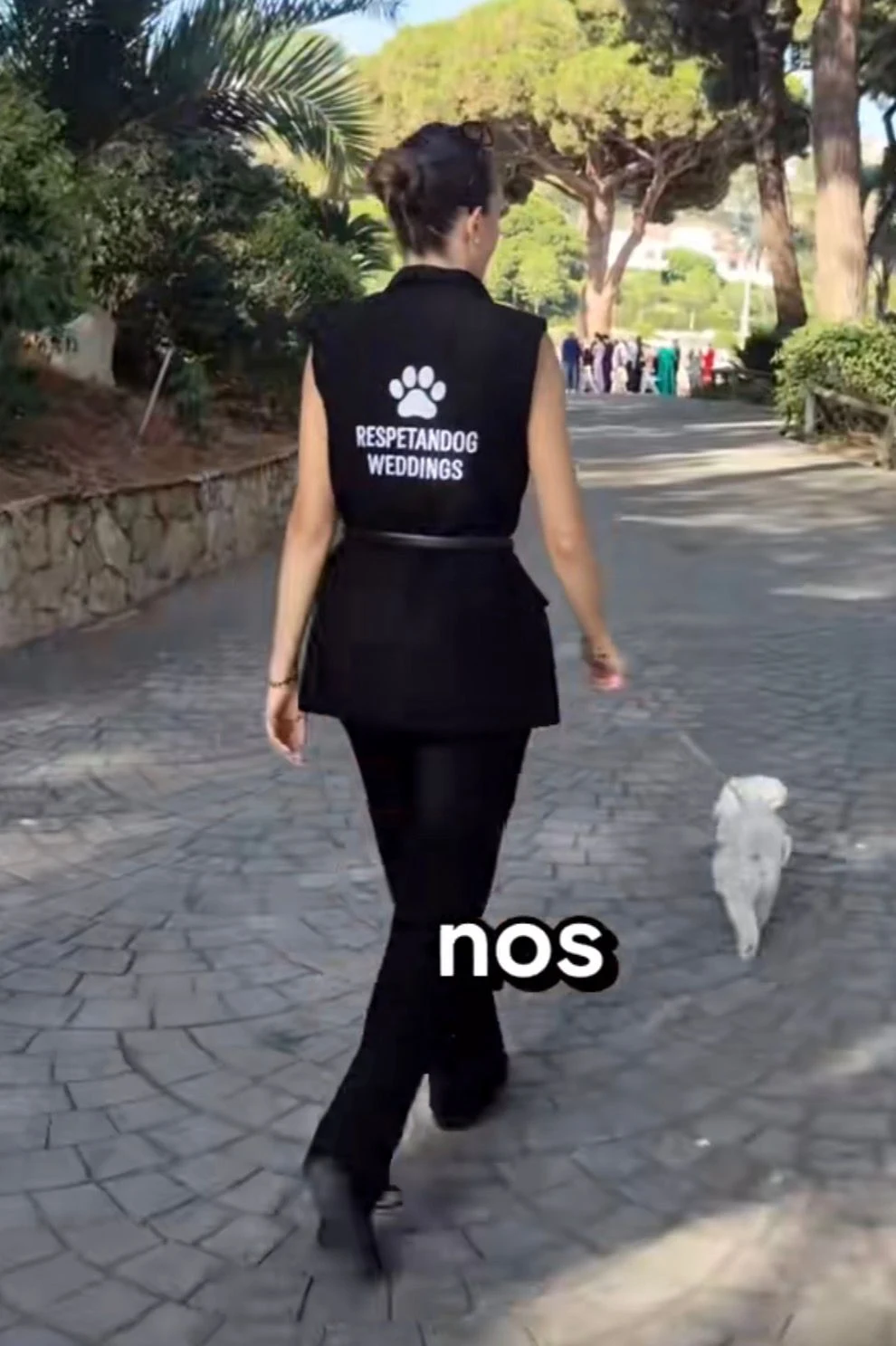 Service in Mosquera: Wedding pet care and companion service — Colombia Move