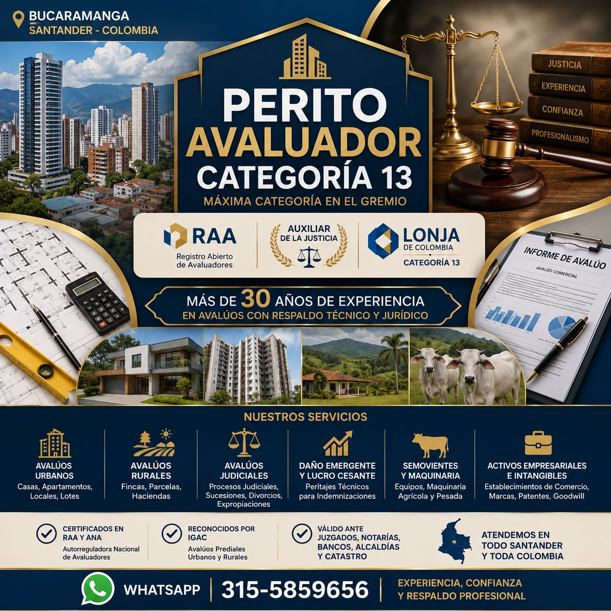 Service in Bucaramanga: EXPERT APPRAISER BUCARAMANGA — Colombia Move