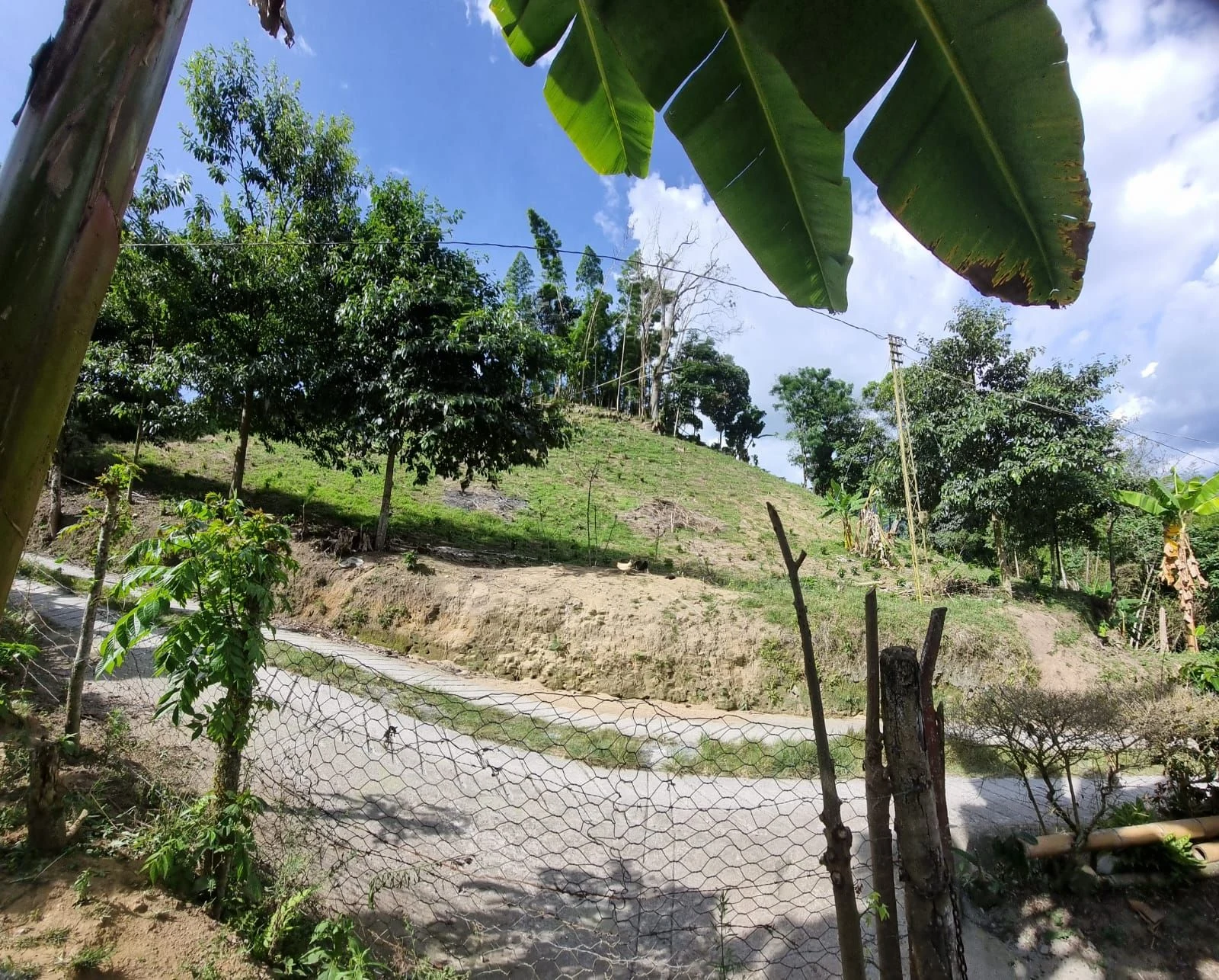 Vía terciaria en placa huella que llega hasta la entrada de la finca