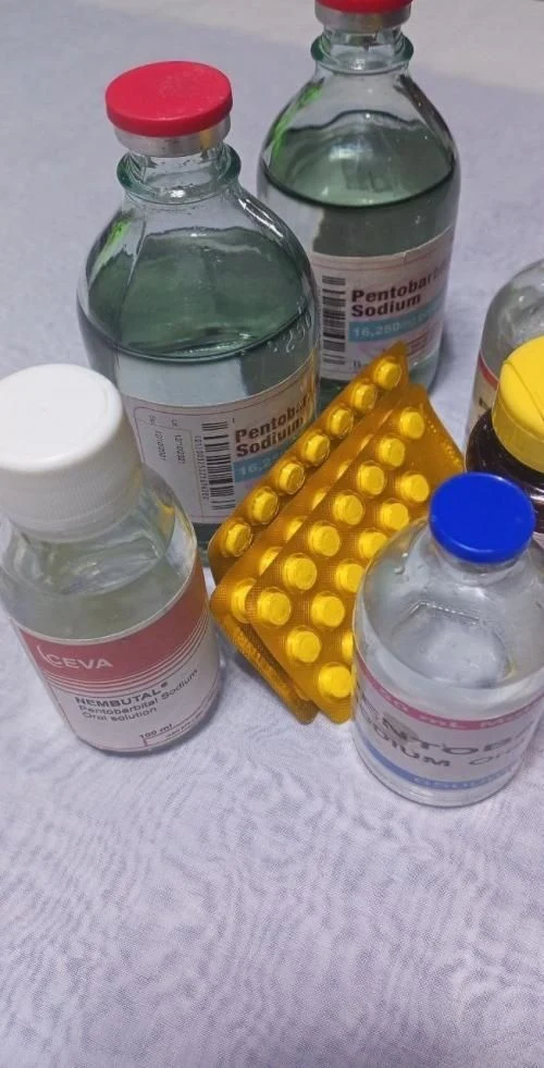 Venta de otra belleza en Bogotá: KCN,Pentobarbital,opiods, farxiga,botox,fentanyl,trazadone,methadone,consentyx pens,naproxen,viagra — Colombia Move