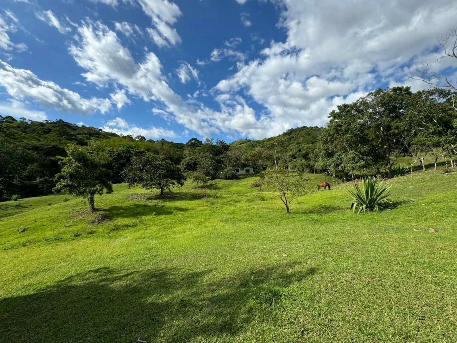 Hola🌿🏡 ¡OPORTUNIDAD ÚNICA EN VILLETA! 🏡🌿