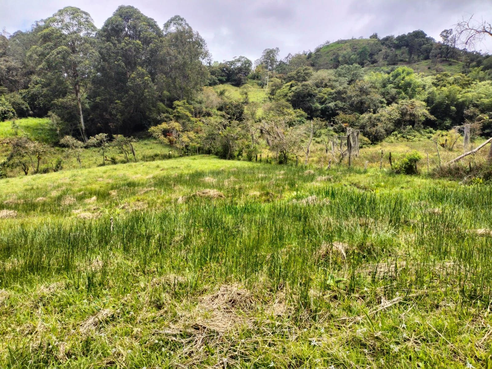Venta de lote / terreno en Pachavita: Lote rural en venta en Pachavita, Boyacá — Colombia Move