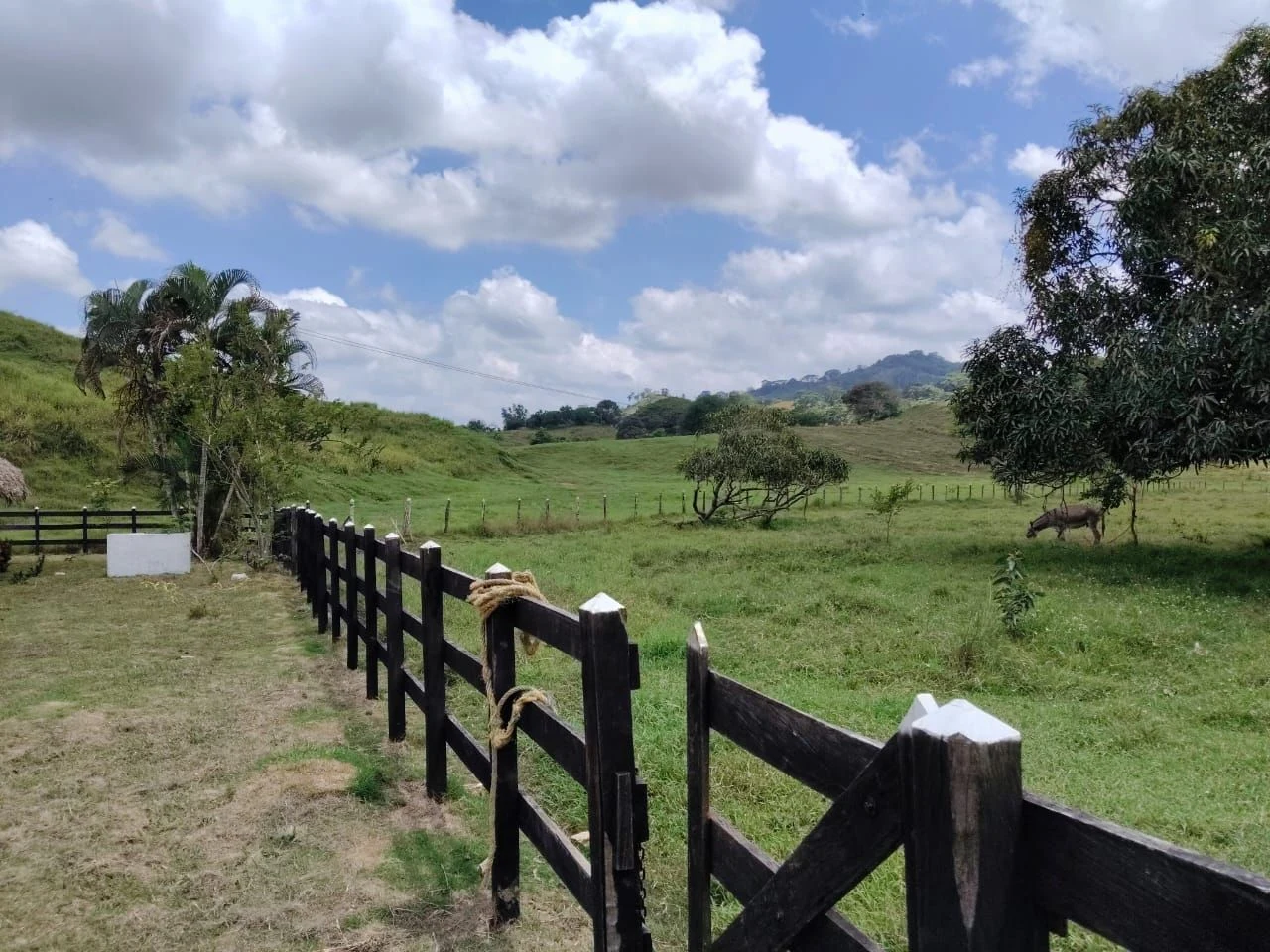 Foto de la finca en Montería