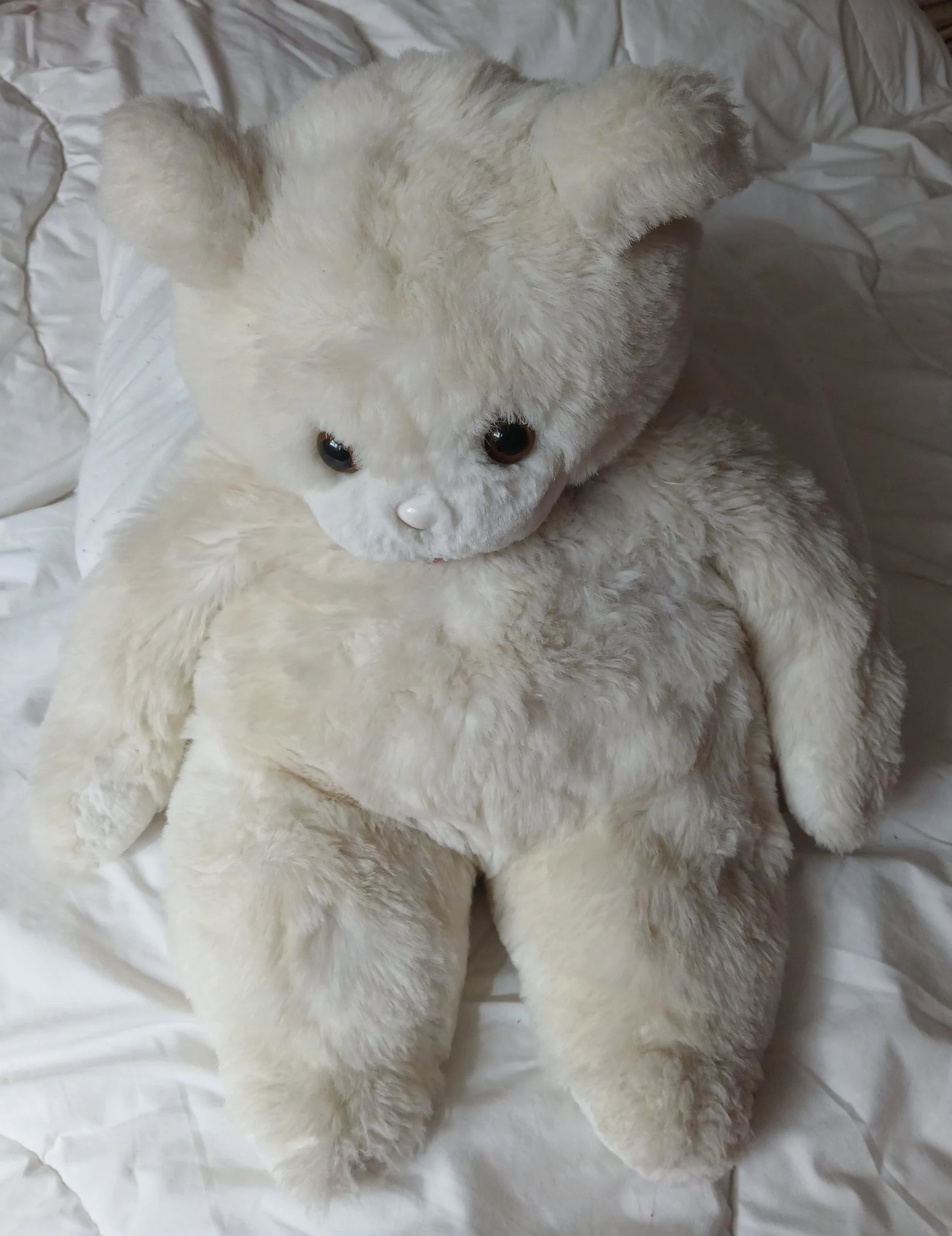 Venta de juguetes y estimulación en Bogotá: Oso de peluche blanco — Colombia Move