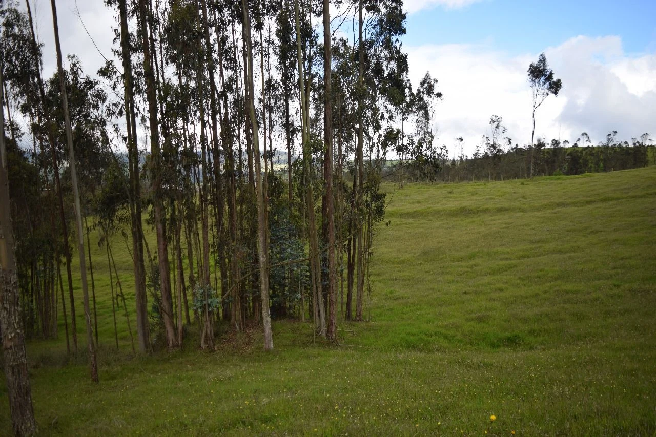 Venta de lote / terreno en Vereda Cruces - Choconta, Choconta: CHOCONTA, VEREDA LAS CRUCES, LOTES GLORIA Y MANITAS 12.156 M2 — Colombia Move
