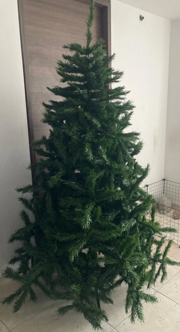 Venta de decoración y hogar en Bucaramanga: Árbol de Navidad artificial verde 6.5' Hamilton Spruce, marca Burica en venta — Colombia Move
