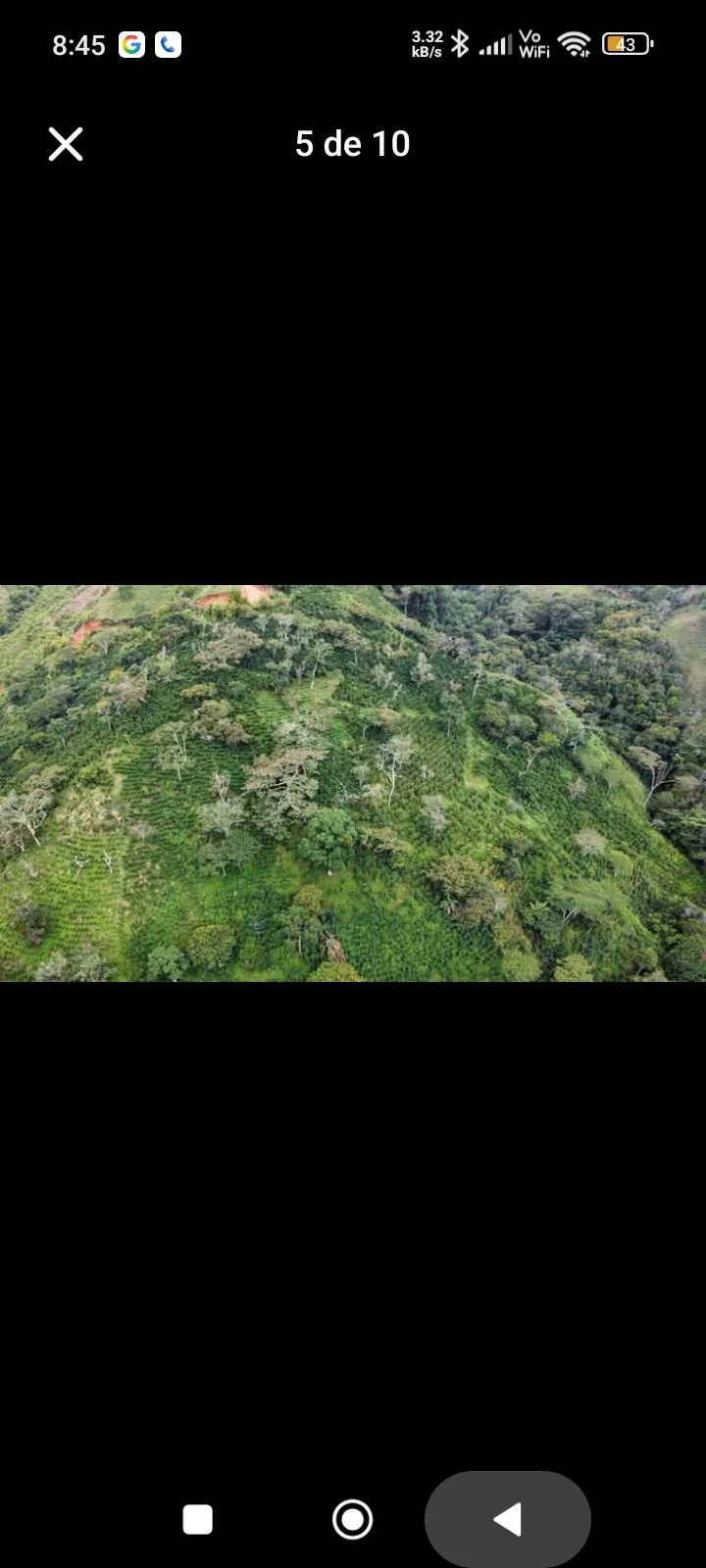 EN VENTA 2 LOTES DE 5 HECTÁREAS CON CULTIVO DE CAFE