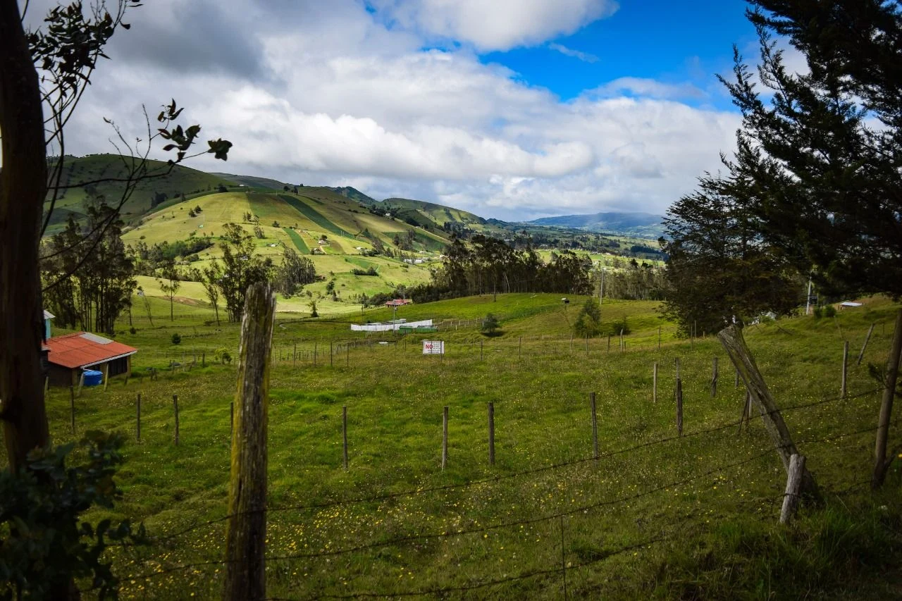 Venta de lote / terreno en Vereda Cruces - Choconta, Choconta: Choconta, Vereda las cruces, Lote LA ESPERANZA, 16396 M2 — Colombia Move