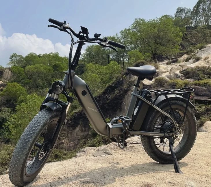 Venta de bicicletas en Medellín: Bicicleta eléctrica plegable FAFREES FF20 POLAR 24ah, — Colombia Move