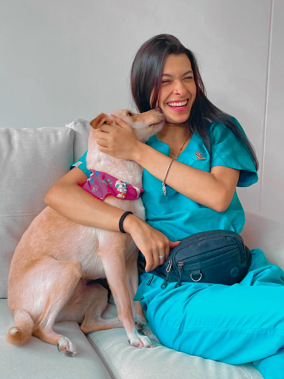 Peluquería canina y felina a domicilio en Medellín y área metropolitana