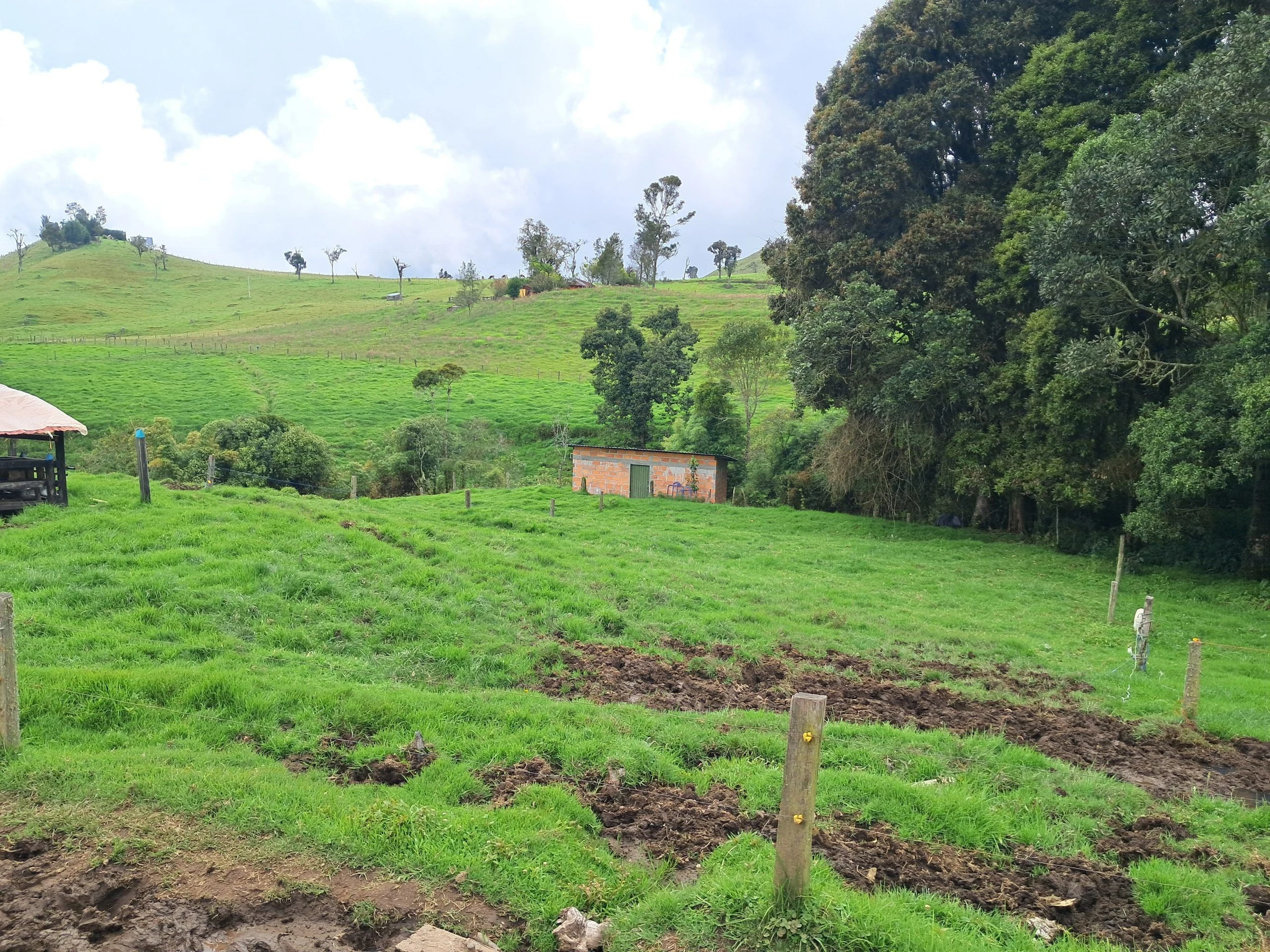 Foto de la finca en Libano