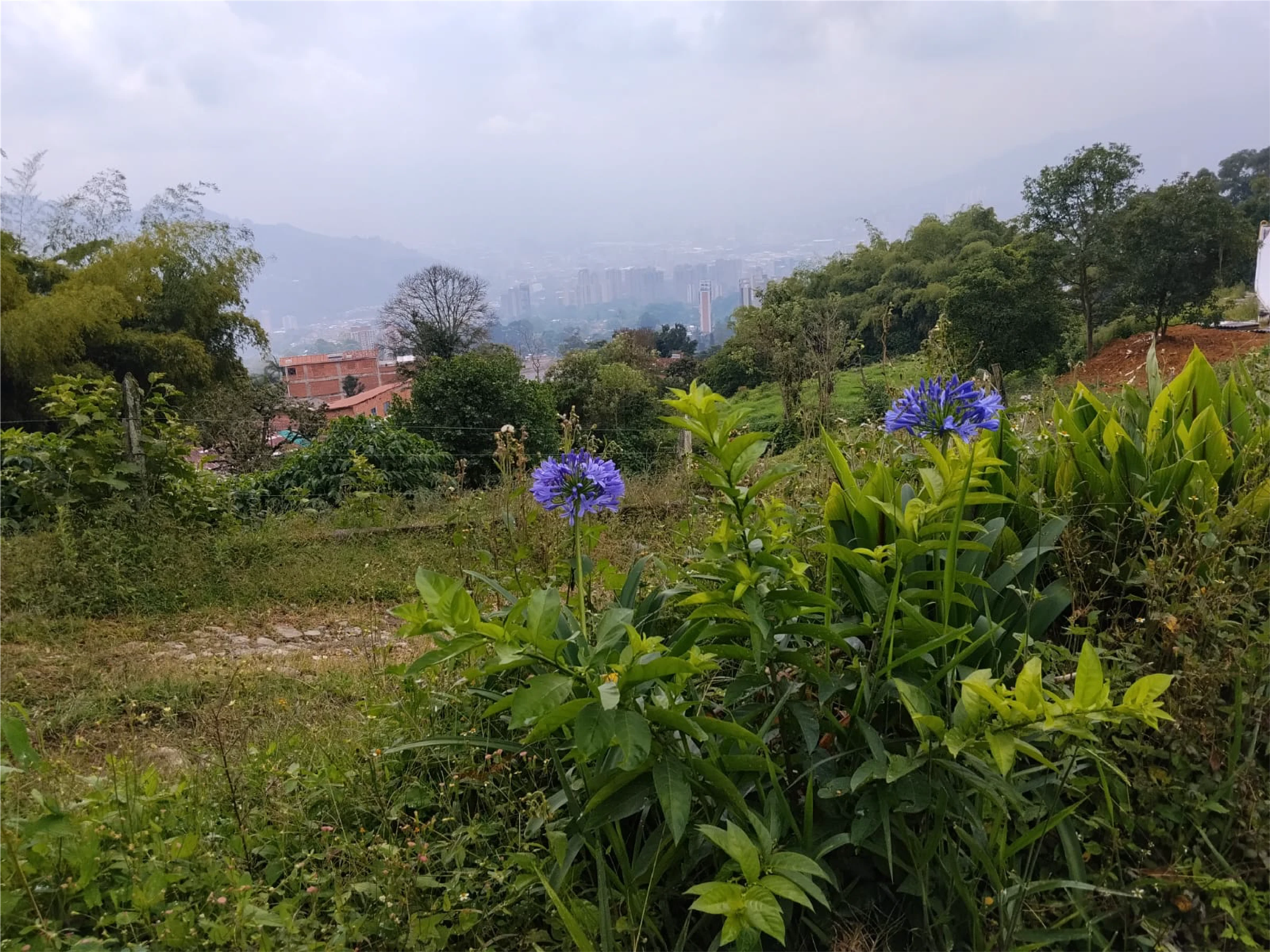 Venta de lote / terreno: LOTE CON CASA EN EL NUEVO REFERENTE DE LUJO EN LA ESTRELLA — Colombia Move